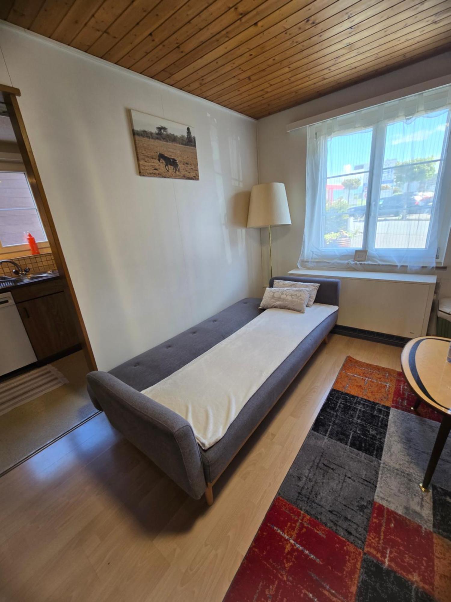 Garden Eden Apartment Freienbach Ngoại thất bức ảnh